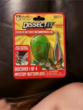 stem Dissectit Synthetic Butterfly Metamorphosis Lab – Green